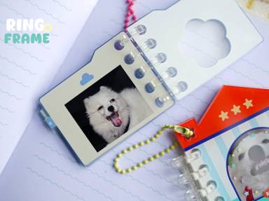 Acrylic Ring Frame