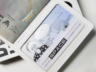 PASSPORT CASE