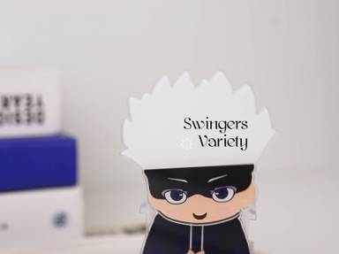 Acrylic Swinger Variety